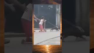 Random Meme Lucu Viral  Cerita Malam Tahan Tawa   Lucu Viral shorts meme lucu