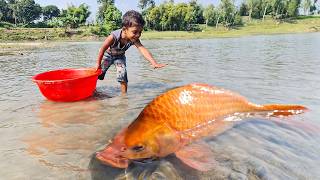 Amazing Traditional Boy Fish Catching By Hand In Water Amazing Hand Fishing Video