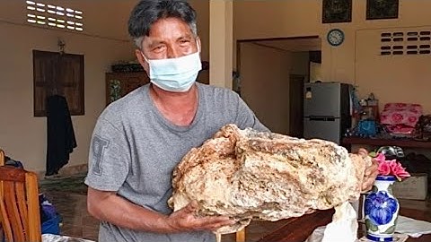 PESCATORE TROVA UN ENORME BLOCCO DI VOMITO DI BALENA: VALE UN MILIONE DI EURO