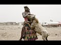 Hyena Documentary The Mysterious Animal Gangs Of Nigeria Hyena Men Wild Planet 