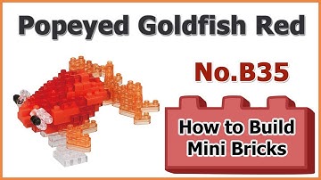 How to Build Mini Blocks Popeyed Goldfish Red B35 Review Instructions Specifications