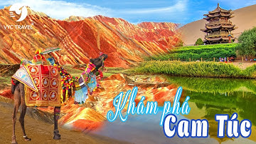 Cam Túc - Điểm Đến Khó Cưỡng Trên Sa Mạc Gobi (VYC Travel) | Lê Lộc Official