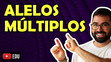 Como você definiria o termo polimorfismo genético?