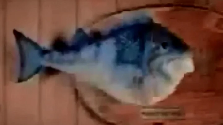 McDonalds Filet-O-Fish Commercial HD