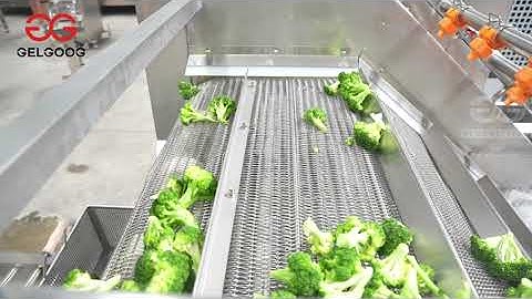 Frozen Broccoli Vegetable Processing Line