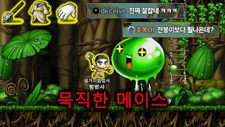 미친세팅 힘법사1위 ㄷㄷ;;