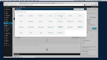 Alice Wordpress Theme - Section Module
