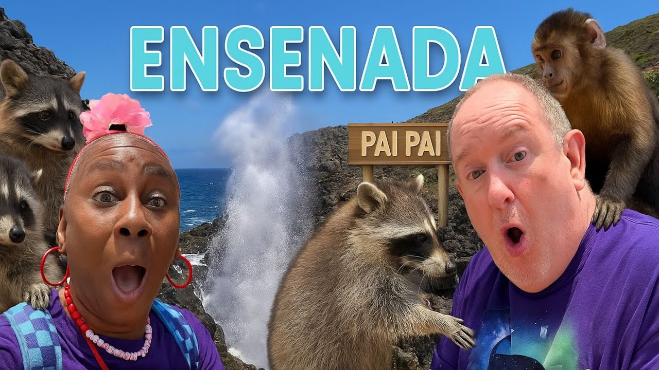 We Got MOBBED by Monkeys & Raccoons in Ensenada!