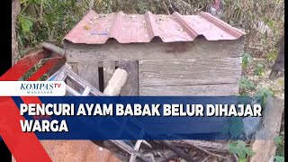 Pencuri Ayam Babak Belur Dihajar Warga