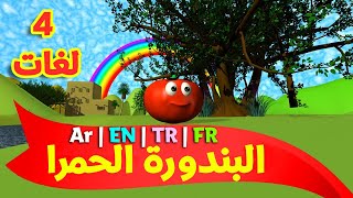 البندورة الحمرا باللغات الأربع ( العربية - الإنجليزية - التركية - الفرنسية ) | طيور بيبي Toyor Baby