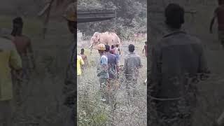 Maha Mritunjaya Mantra Mantra Mritu Song