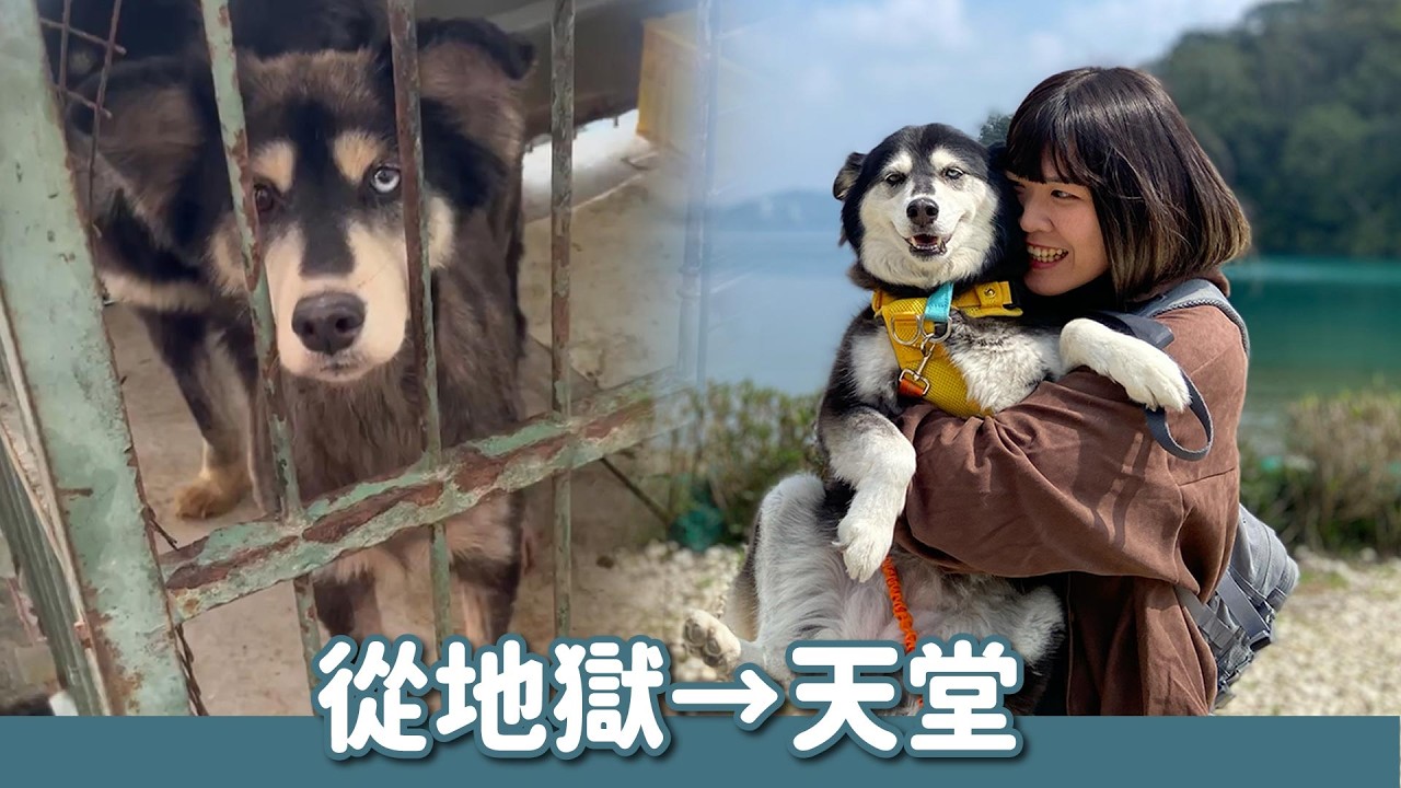 從地獄到天堂！哈娜與她的孩子兩週年幸福追蹤｜頻道會員救援計畫