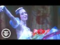 Шопениана. Одноактный балет в постановке Большого театра. Chopiniana. Bolshoi theatre (1990)