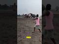 Elephant JCB Fighting Shorts Elephant Attack Jcb 
