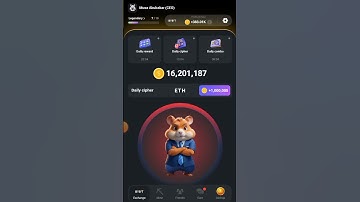 Hamster Kombat Daily Cipher code Today