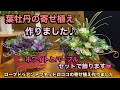 【葉牡丹の寄せ植え】クリスマスお正月も楽しめる寄せ植えを作りました。【ローブドゥアントワネットロココの寄せ植え】リーフを使ってさらに美しく飾ります。
