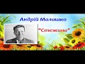 Відеопоезія. А.Малишко "Стежина"