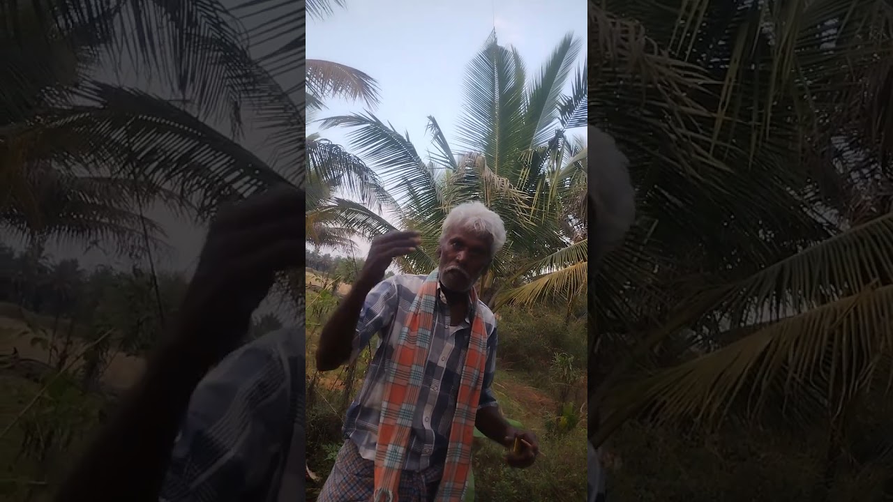 ಹಿರಿಯ ಗೆಳೆಯ ಮಹದೇವಣ್ಣ  ಹೇಳಿದ ನನ್ನ ತಂದೆ ಶಿವಣ್ಣ ಅವರ  ವಿಚಾರಗಳು ನಮ್ಮ ಪ್ರದೇಶದಲ್ಲಿ ಬೆಳೆಯುವ ಬೆಳೆಗಳ ವಿವರ 