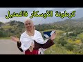 كرطونة مبكيتيش على دجاجة نهار هربات و بكيتي على الفرووج مني تصاب و لا القضية فيها فلوس الحاجة سالي
