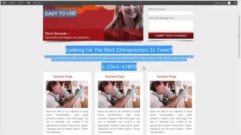 OfflineBiz Premium WordPress Theme Documentation