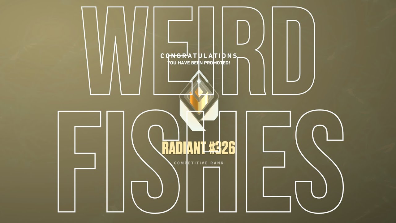 weird fishes / arpeggi