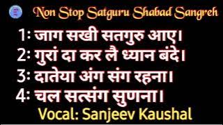 Non Stop 164  Top 4 Most Beautiful Satguru Shabad Sangrah | Satsang Shabad | Guru Shabad | Baba Ji