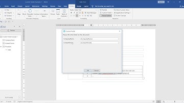 How to Update a Custom Field