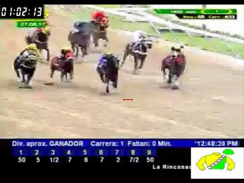 LA RINCONADA 1 CARRERA, DOMINGO 27 DE AGOSTO DE 2017 - YouTube