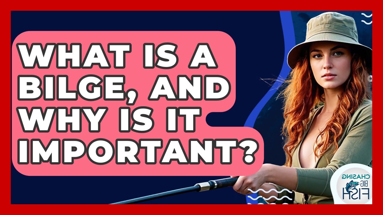 What Is A Bilge, And Why Is It Important? - Chasing Big Fish