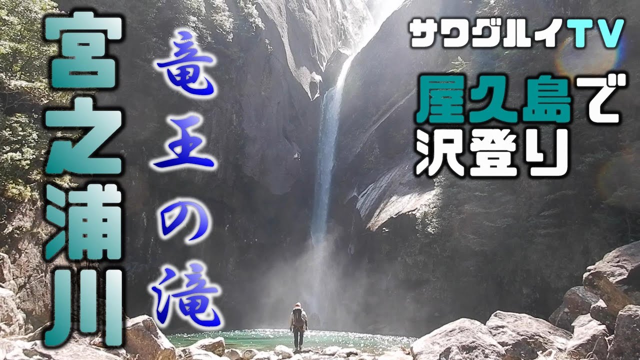 【沢登り】屋久島　宮之浦川