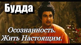 2 Жить Настоящим. Не Тревожить Прошлое. Не Переживать О Будущем. #Будда #Просветление #Осознанность