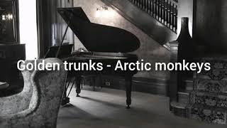 Golden trunks - Arctic monkeys // lyrics