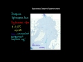 238  Водные массы Северного Ледовитого океана