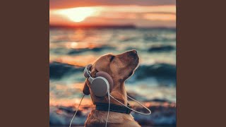 Playful Sea Bark