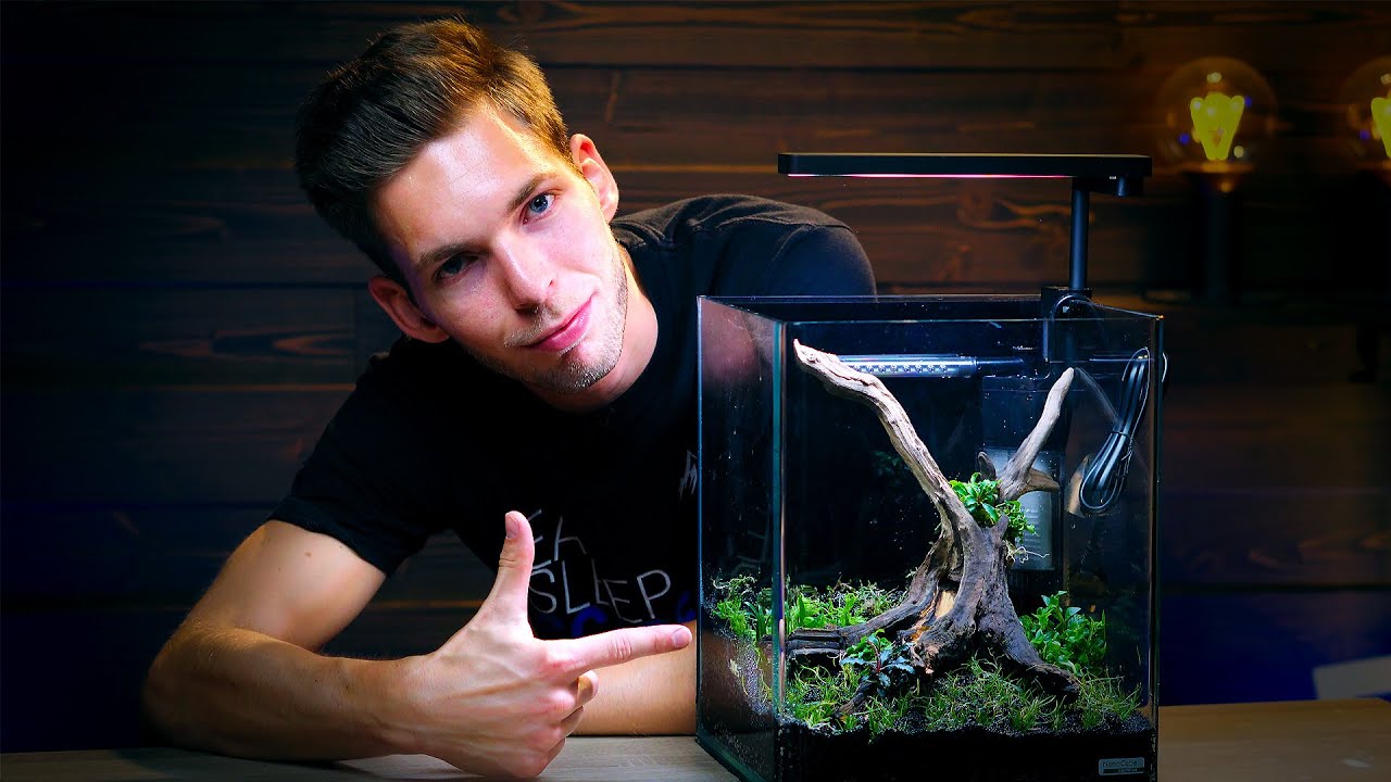 DENNERLE NANO PLANTED TANK SETUP SHORT FILM - WITH DANIEL 