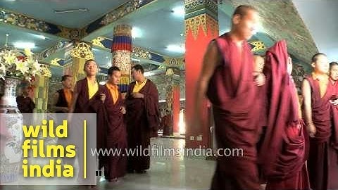 Monks of Mindrolling Monastery, Clement Town