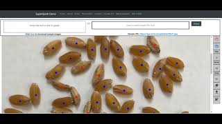 SGA Web Applications for Grain Grading Demo (draft) screenshot 3