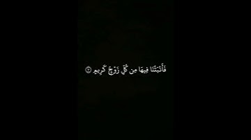 القارىء ياسر الدوسري سورة لقمان من ١٠-١١