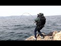 念願だった大物！３年ぶり２度目の遭遇で重量級の魚！