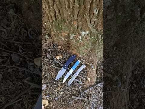 Today's EDC!! You?