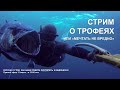 Стрим о подводных трофеях в Индонезии. 11 марта 2023, в 12-00 мск