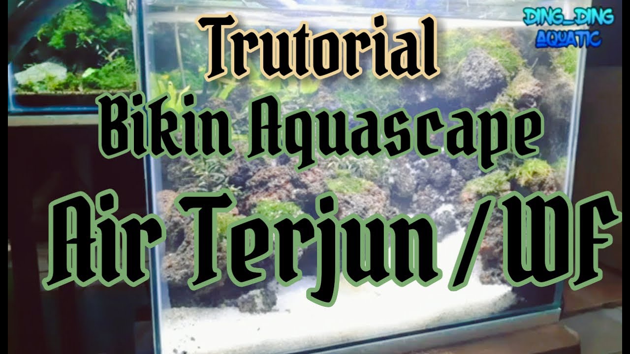 Aquascape Air terjun / Wf mudah buatnya. Berikut Tips
