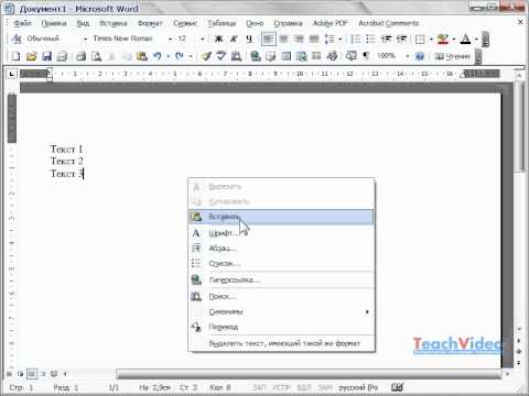 Работа с контекстным меню в Microsoft Word 2003 (6/49)