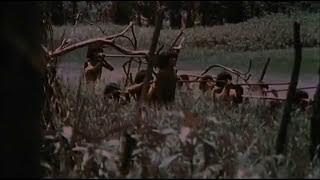 CANNIBAL HOLOCAUST (1984) THEATRICAL TRAILER
