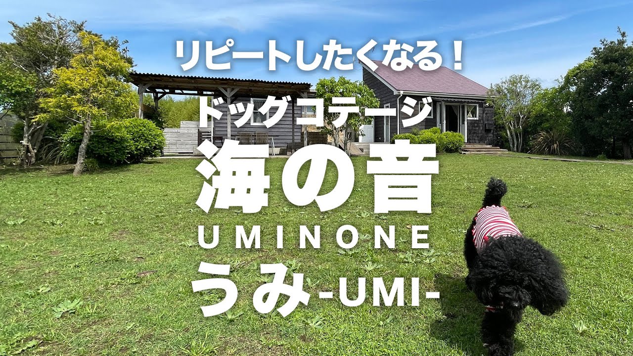プライベートドッグランになる 約150坪の庭が魅力の貸別荘ドッグコテージ海の音(うみのね)「うみ」@愛犬と行く千葉県九十九里 2022.5.9～11