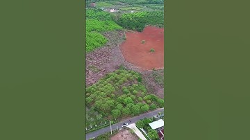 Ngộp ngân hàng A Hải chấp nhận bán lỗ đất vườn có thổ cư ở BR-VT . Gần biển #shorts