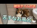 【シェルティ】なっちゃんお風呂のお風呂