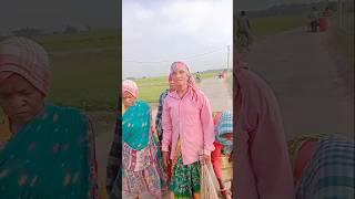 Tata bazar kami kuli#santali trending songs #shortvideo #viralvideo #reels #duet dence #newsantali
