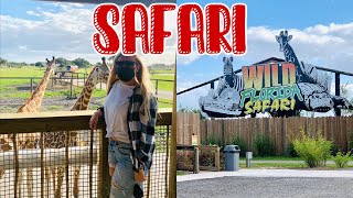 Safari in ORLANDO | VLOGMAS DAY 15 2020