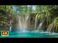 Waterstream of the World 4K